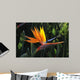 bird of paradise Wall Mural