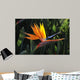 bird of paradise Wall Mural