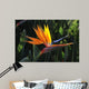 bird of paradise Wall Mural