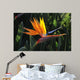 bird of paradise Wall Mural