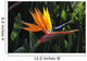 bird of paradise Wall Mural