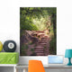 Stone Stairs as Hiking Wall Decal