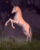 Unicorn in a Moonlit Forest Glade Wall Mural