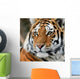 Tiger Wall Decal Design 2