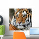Tiger Wall Decal Design 2