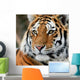 Tiger Wall Decal Design 2