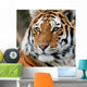 Tiger Wall Decal Design 2