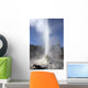 Lady Knox Geyser Wall Decal