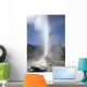 Lady Knox Geyser Wall Decal
