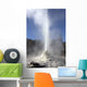 Lady Knox Geyser Wall Decal