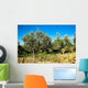 Olive Trees Wall Decal Design 3