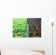 Acker Wall Decal