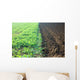 Acker Wall Decal