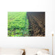 Acker Wall Decal