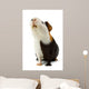 Guinea Pig Isolated on White Wall Decal
