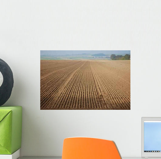 Field Autumn Wall Decal Design 2