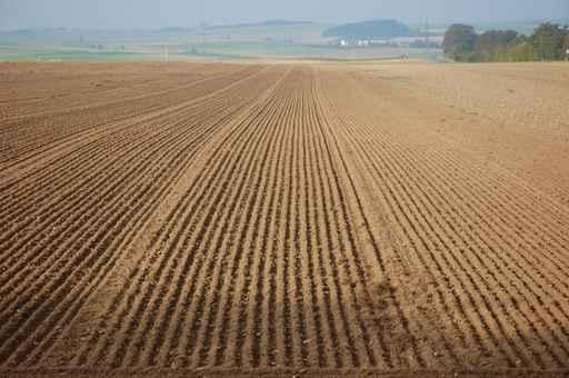 Field Autumn Wall Decal Design 2