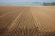 Field Autumn Wall Decal Design 2
