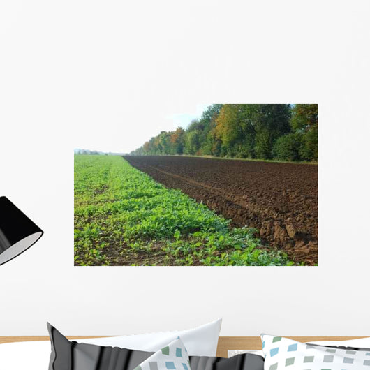 Field Autumn Wall Decal Design 1