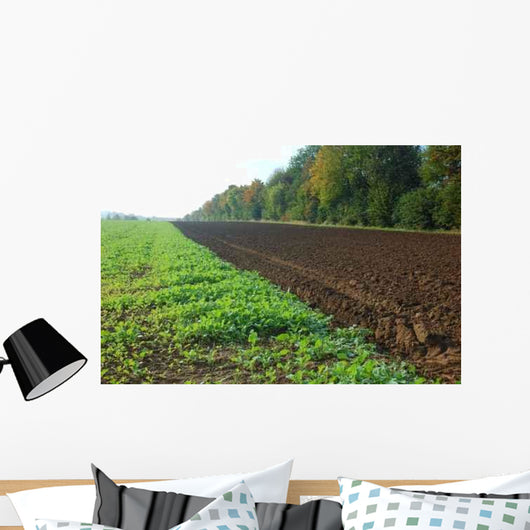 Field Autumn Wall Decal Design 1