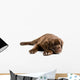 Sleeping Labrador Retriever Puppy Wall Decal