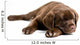 Sleeping Labrador Retriever Puppy Wall Decal