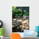 Mountain Brook Wall Mural