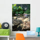 Mountain Brook Wall Mural