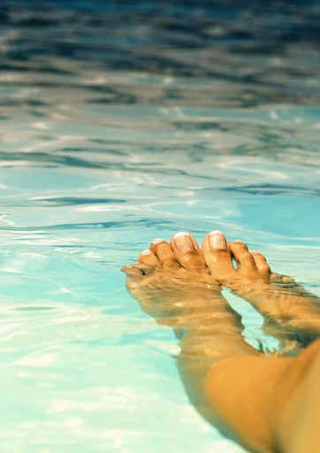 Exotic Pool Wall Decal