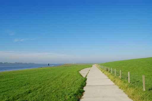 Floodplains and Hiking Trail Wall Decal