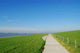 Floodplains and Hiking Trail Wall Decal