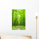 Path Wall Mural