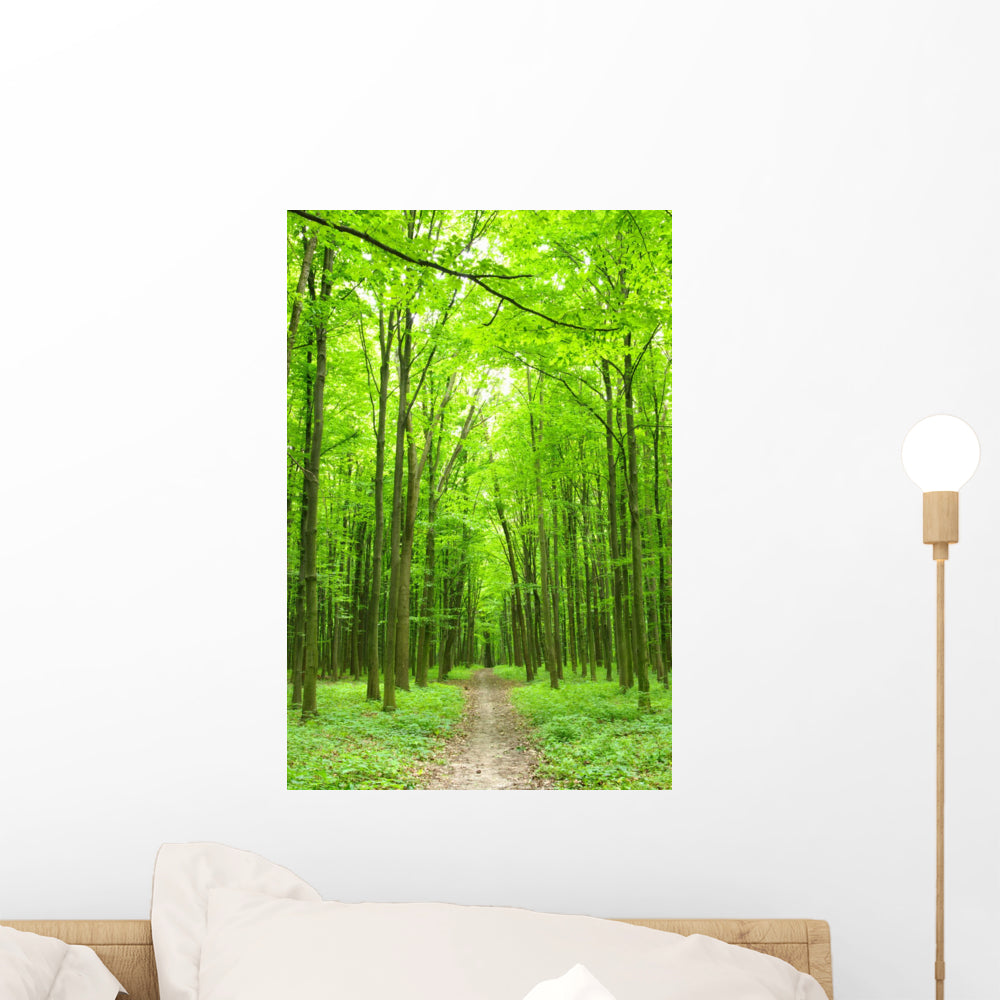 Path Wall Mural – Wallmonkeys