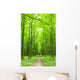 Path Wall Mural