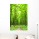 Path Wall Mural