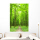 Path Wall Mural