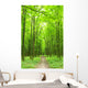 Path Wall Mural