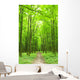 Path Wall Mural