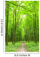 Path Wall Mural