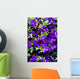 Sea of ​​flowers of Clematis Wall Mural