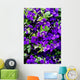 Sea of ​​flowers of Clematis Wall Mural