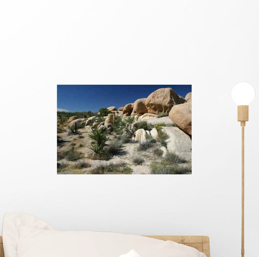 Magma Rocks Wall Decal
