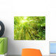 bamboo with rays of light Wall Mural