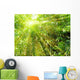 bamboo with rays of light Wall Mural