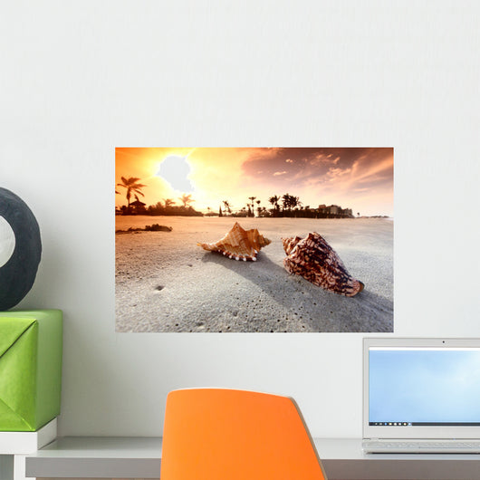 shell Wall Mural