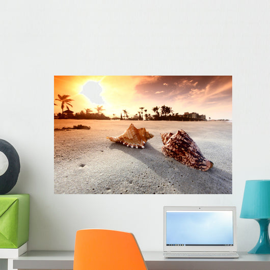shell Wall Mural
