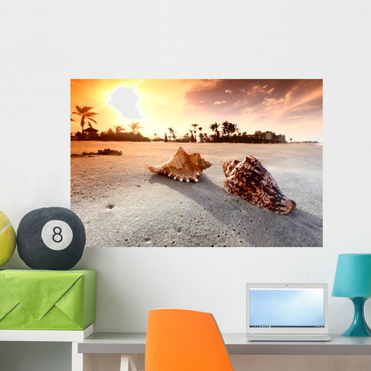 shell Wall Mural