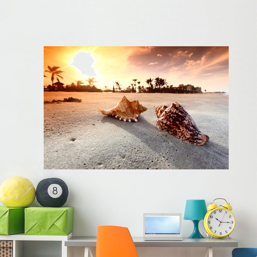 shell Wall Mural