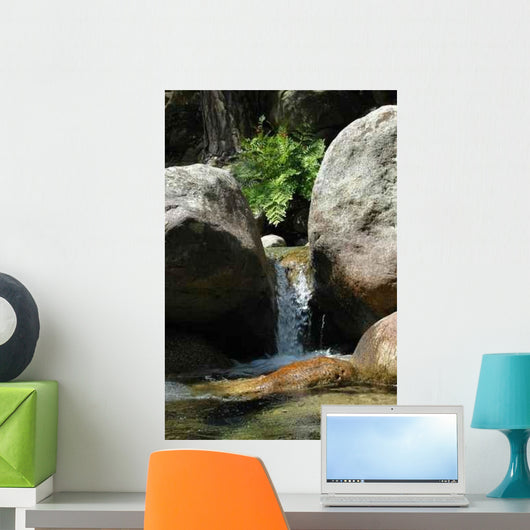 Restonica Wall Decal