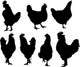 Hens and Roosters Set Wall Decal